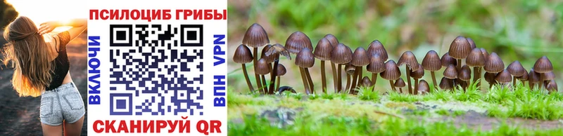 OMG маркетплейс  Макушино  Галлюциногенные грибы Cubensis 